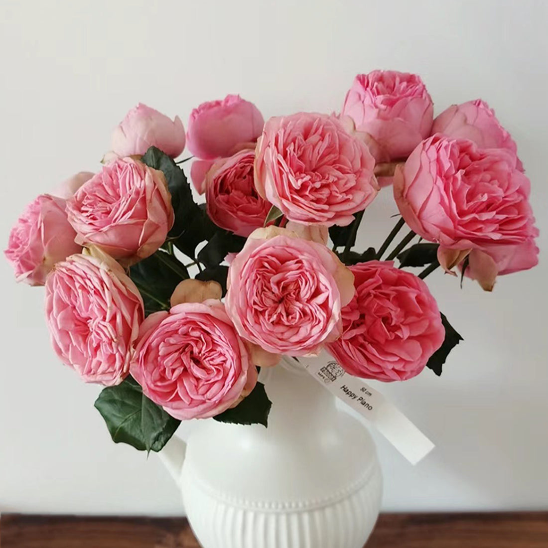 German Florist Shrub Rose Inspired by Happy Piano