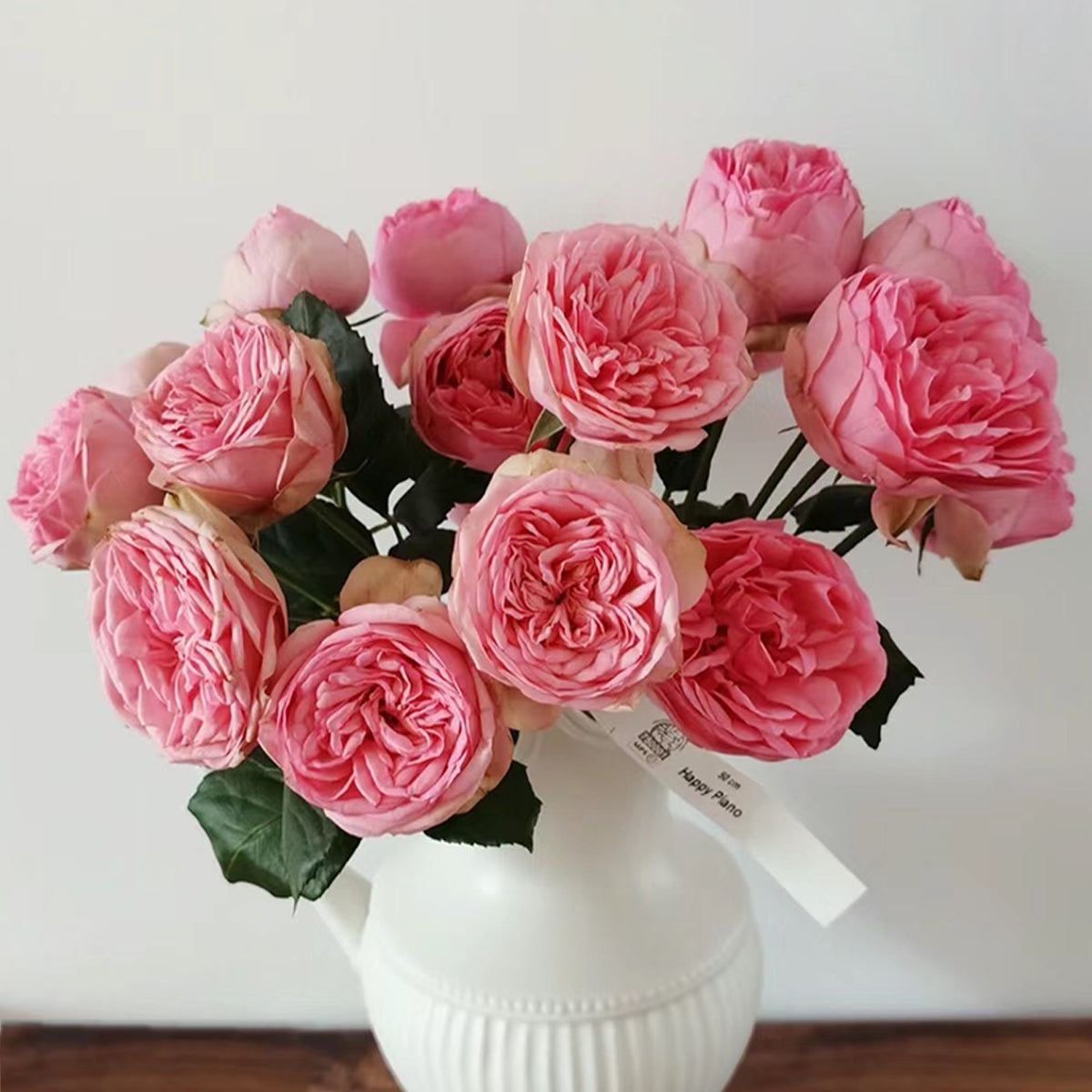 German Florist Shrub Rose Inspired by Happy Piano