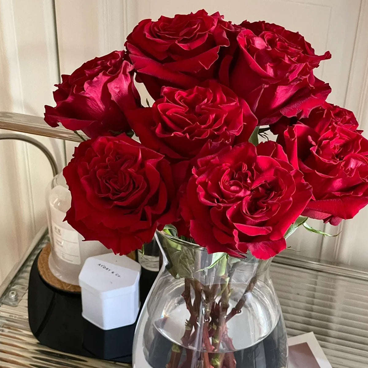 Dutch Florist Shrub Rose Inspired by Wanted