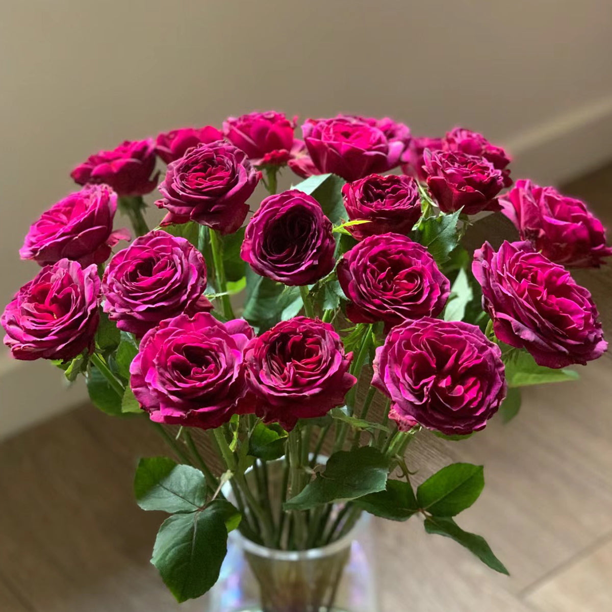 Hiraku Japanese Florist Shrub Rose