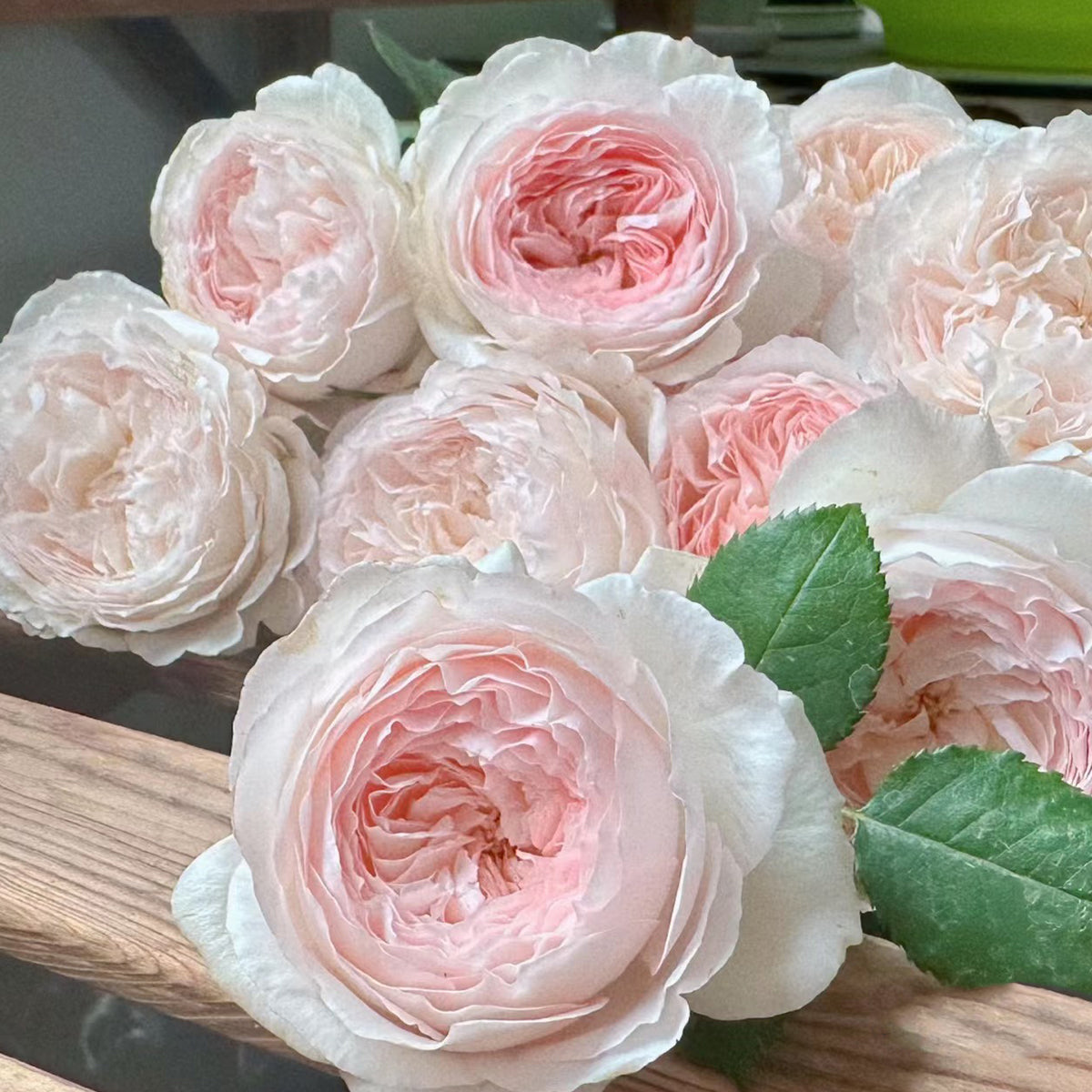 BYREDO BURNING ROSE (バーニングローズ) 240g バーニング ローズ キャンドル 240g