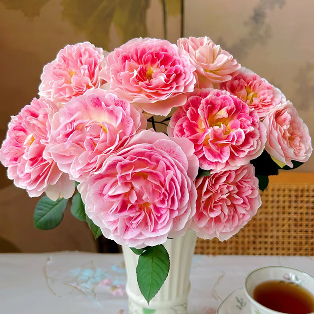 Dutch Florist Shrub Rose Inspired by Holiday Island Guernsey