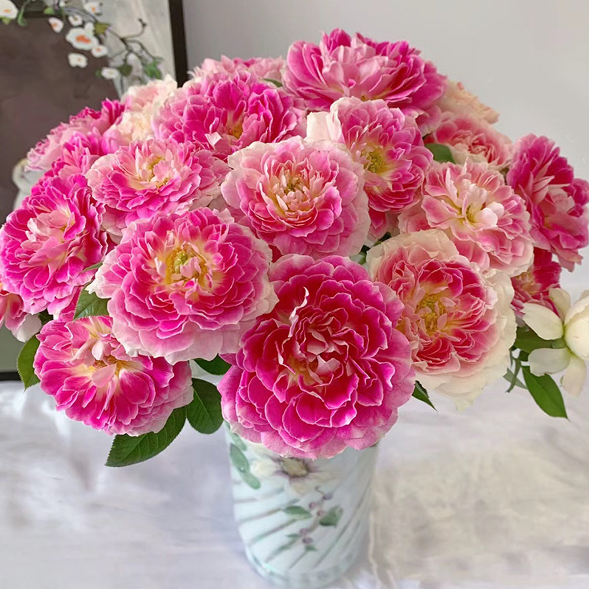 Dutch Florist Shrub Rose Inspired by Holiday Island Guernsey