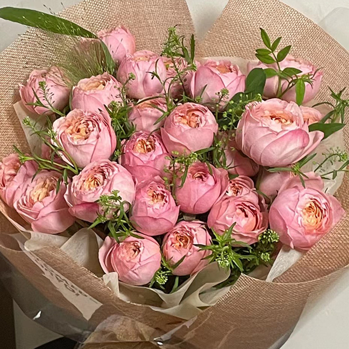 French Florist Shrub Rose Inspired by Julieta