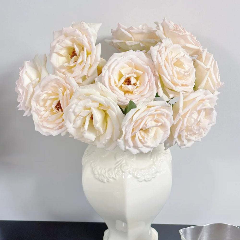 Kaoruno Japanese Florist Shrub Rose