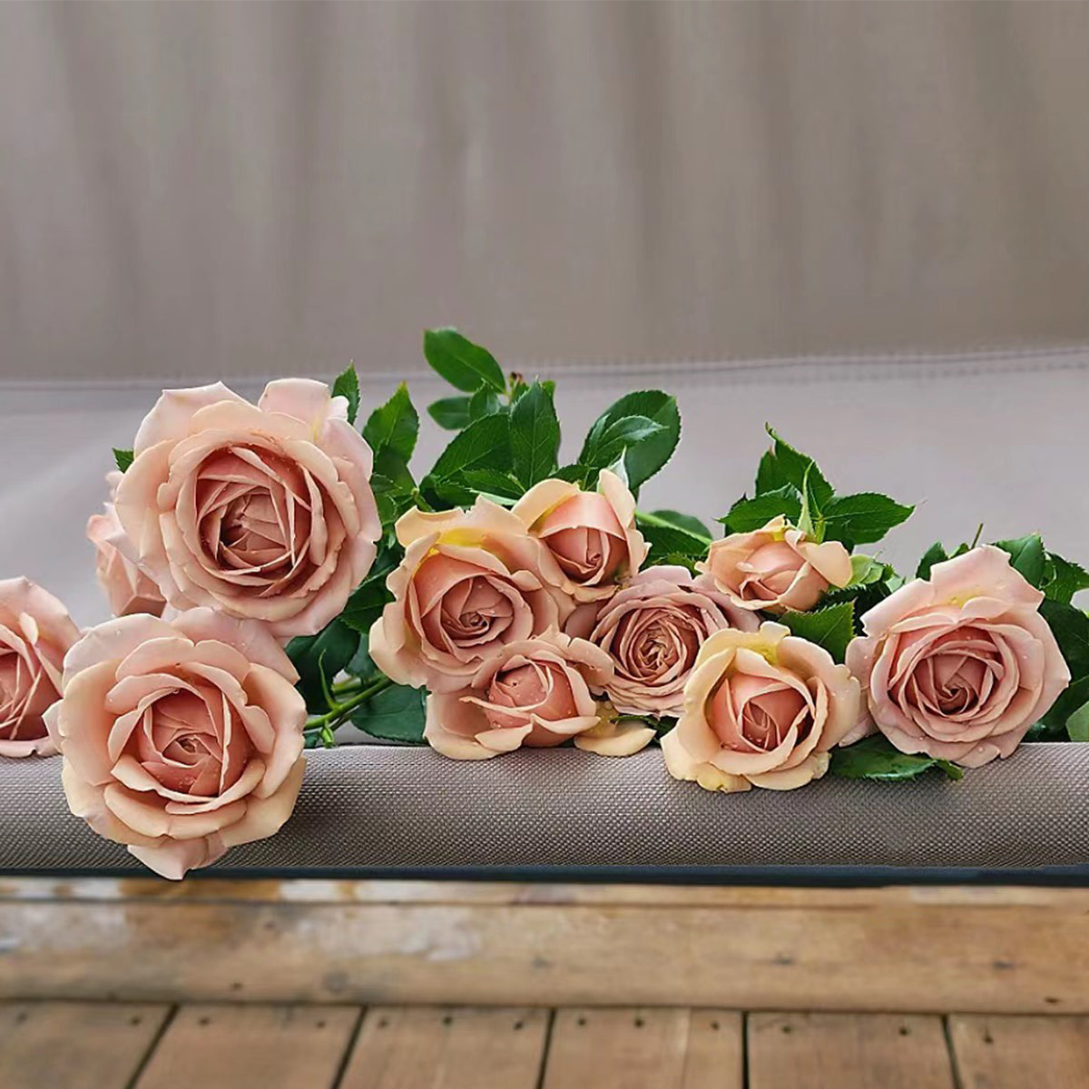 US Florist Shrub Rose Inspired by Koko Loko