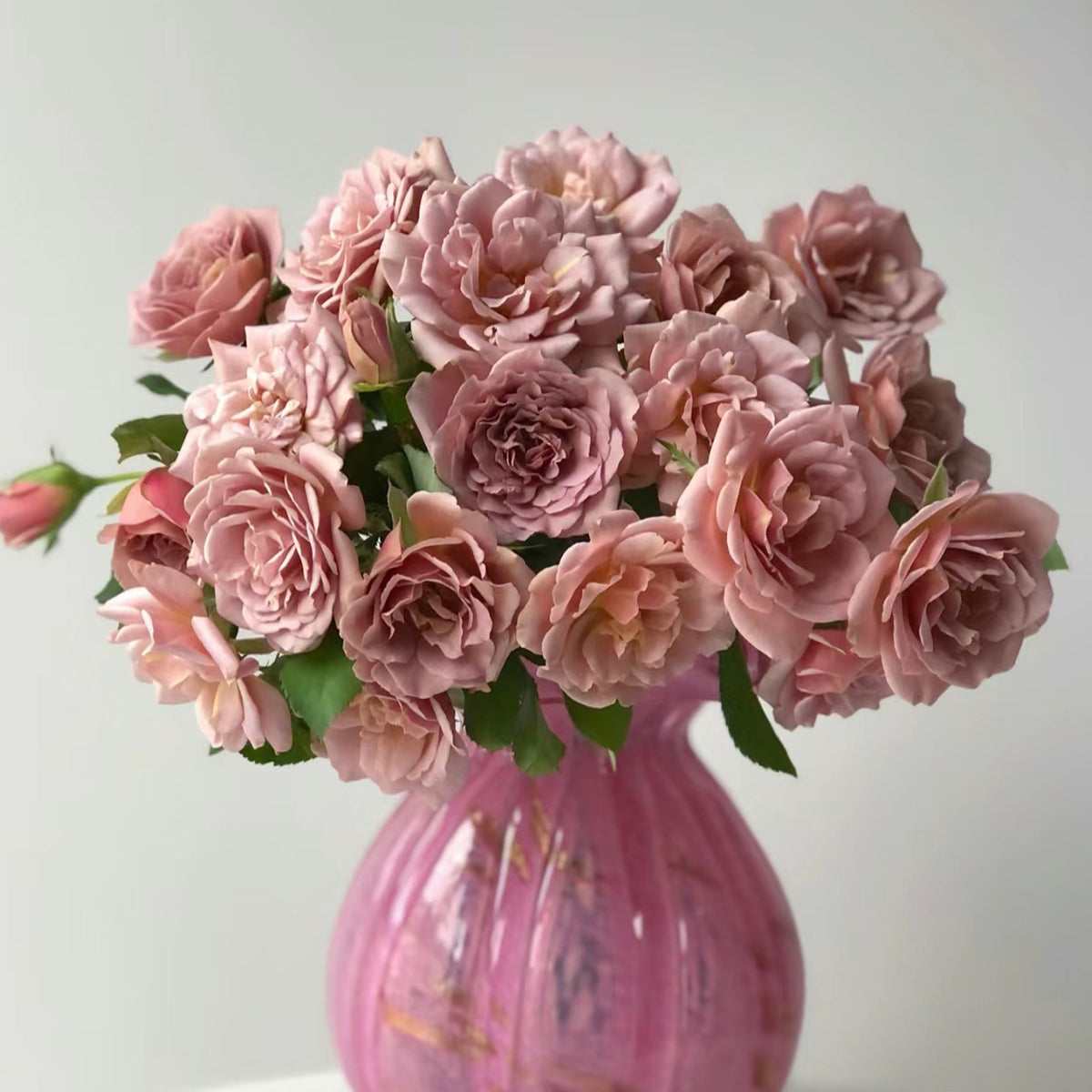 US Florist Shrub Rose Inspired by Koko Loko