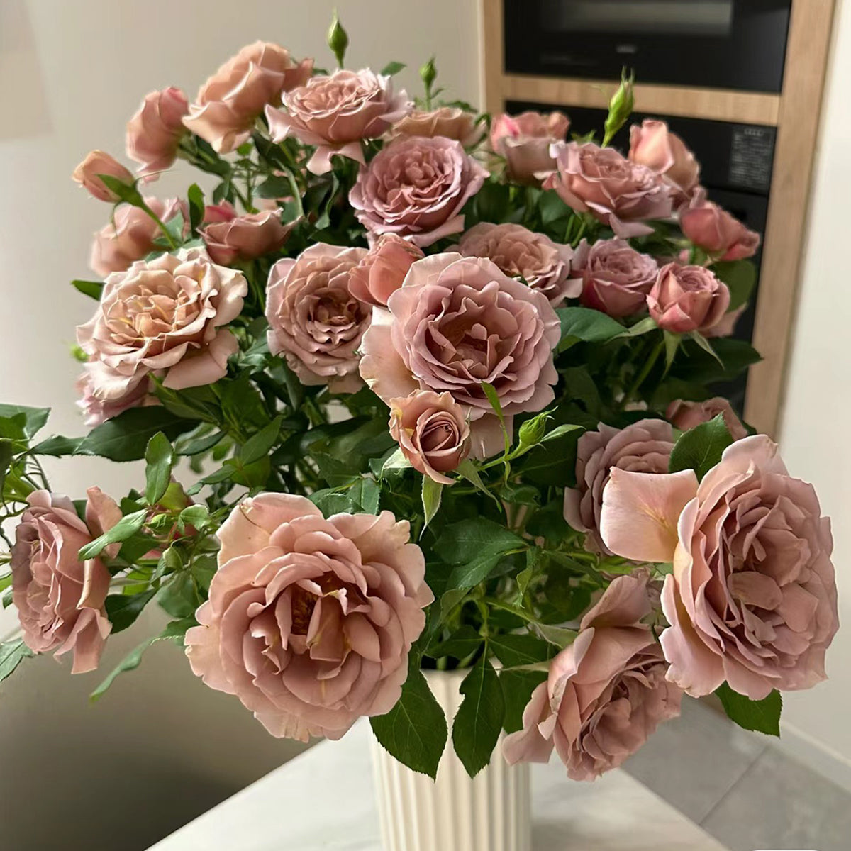 US Florist Shrub Rose Inspired by Koko Loko