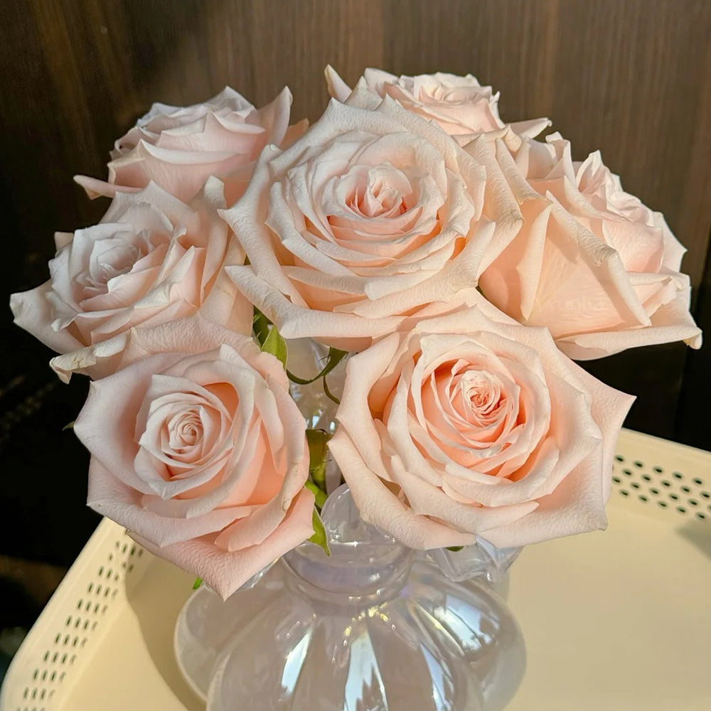 Lady Eva Dutch Florist Shrub Rose