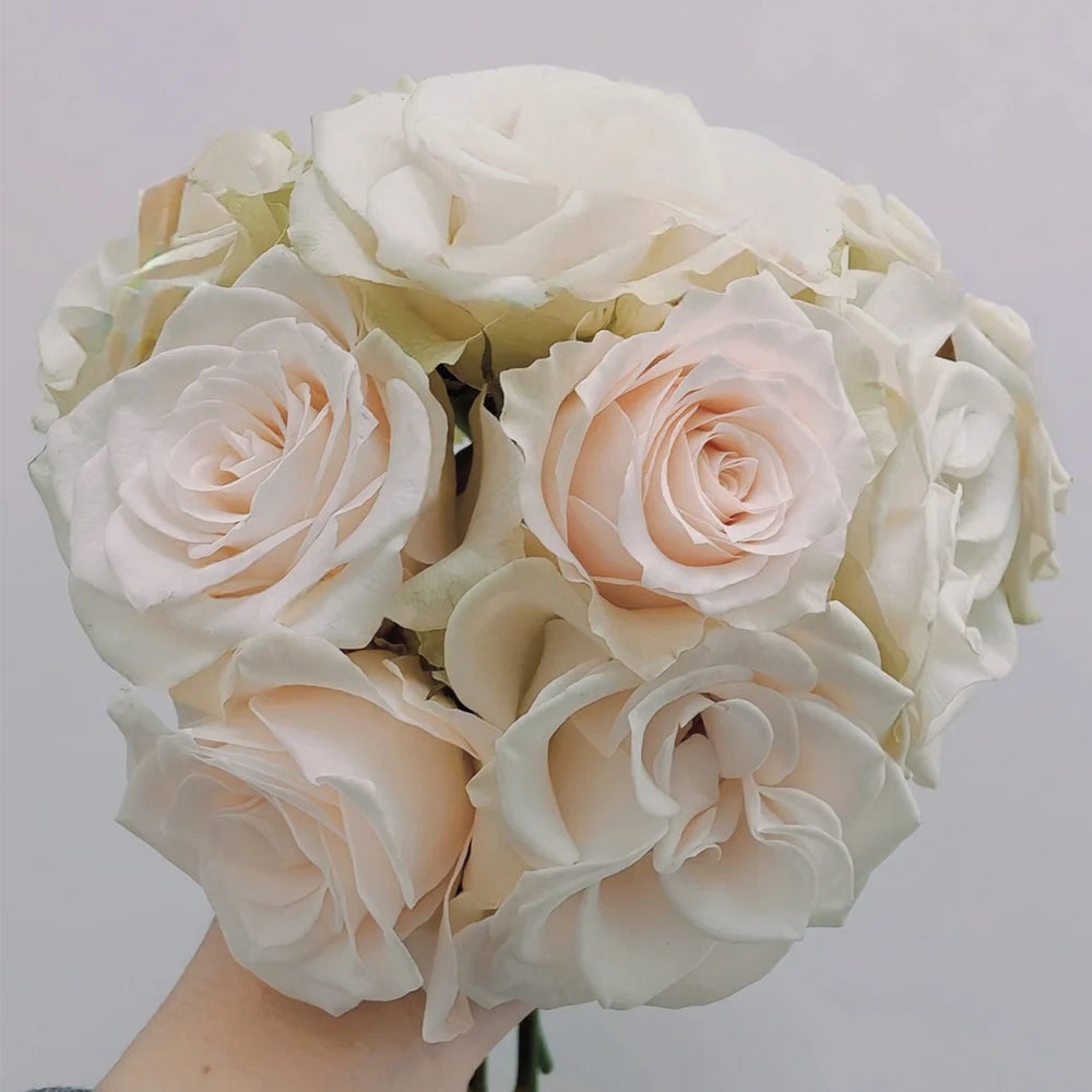 Lady Eva Dutch Florist Shrub Rose