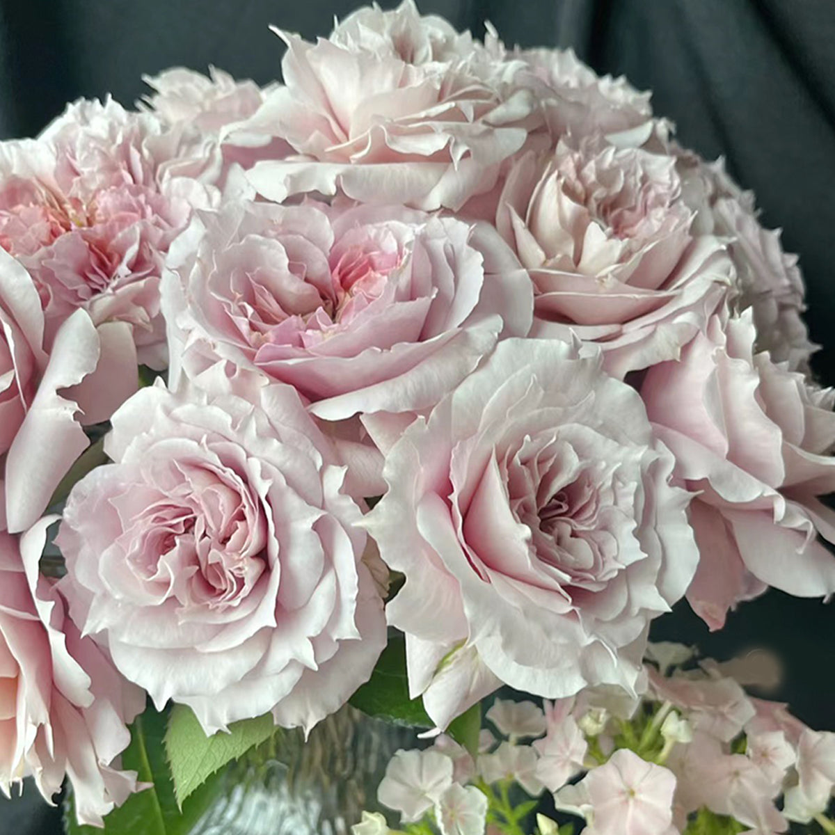 Le Sablier Japanese Florist Shrub Rose