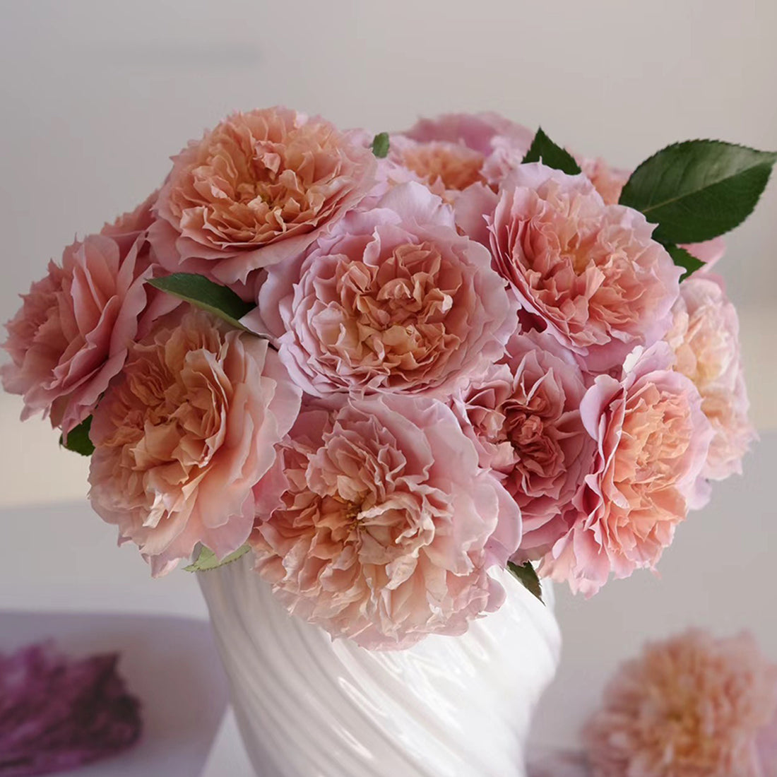 Le Sablier Japanese Florist Shrub Rose