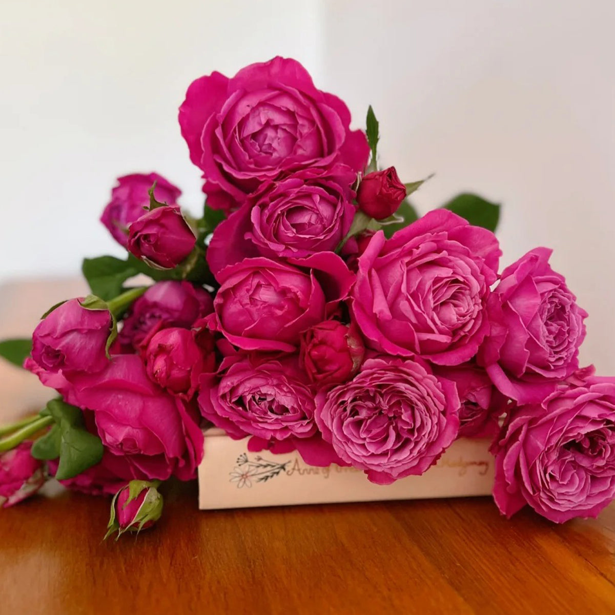 M-Nostalgic Elegance Japanese Florist Shrub Rose