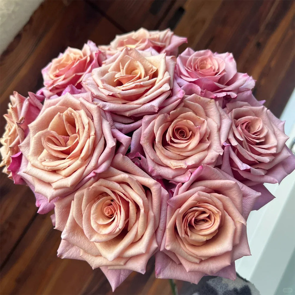 Magic Silver German Florist Shrub Rose