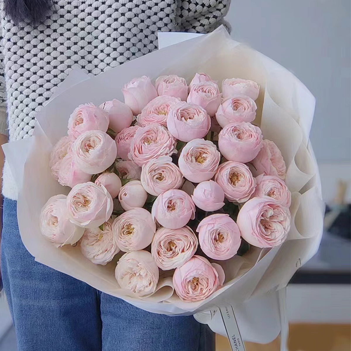 Dutch Florist Shrub Rose Inspired by Mansfield Park