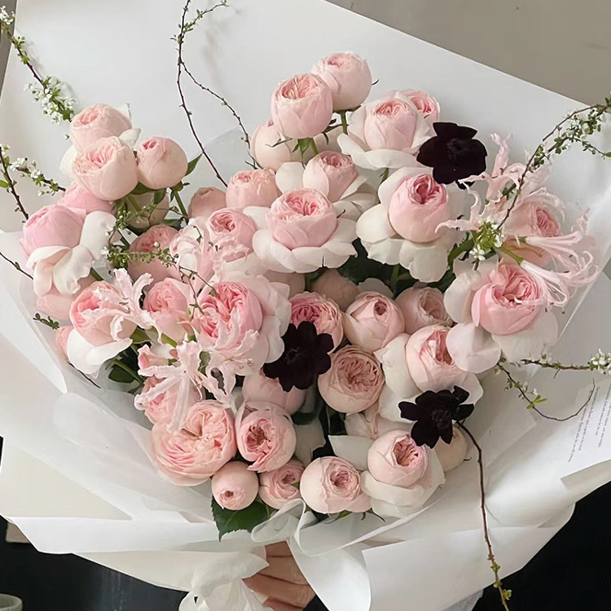 Dutch Florist Shrub Rose Inspired by Mansfield Park