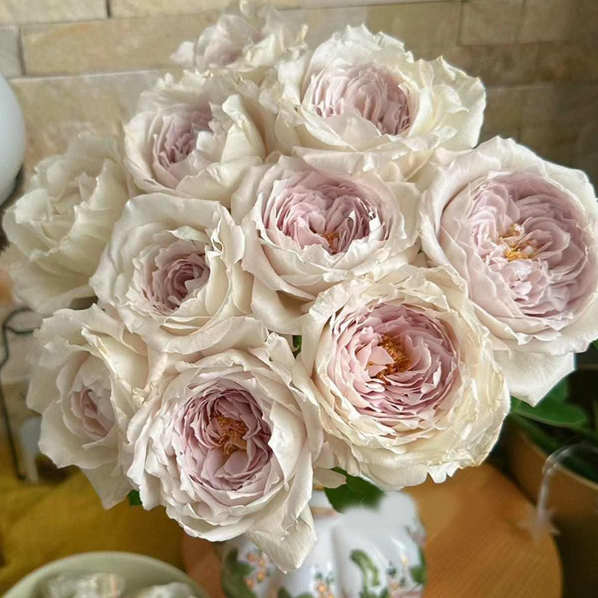Milky Pearl Japanese Florist Shrub Rose