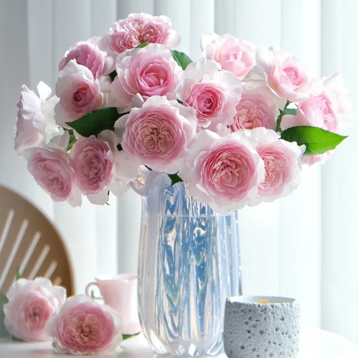 Misaki Japanese Florist Shrub Rose
