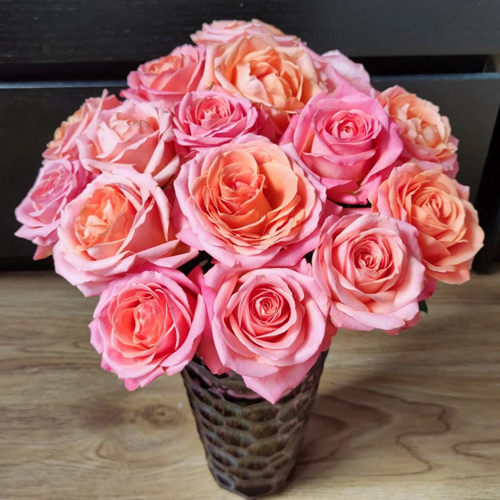 Miss Piggy Dutch Florist Shrub Rose