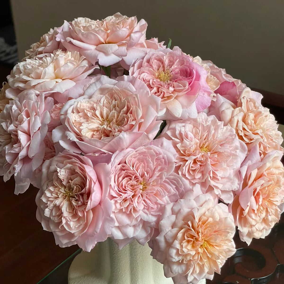 Japanese Florist Shrub Rose Inspired by Miyabi Brown