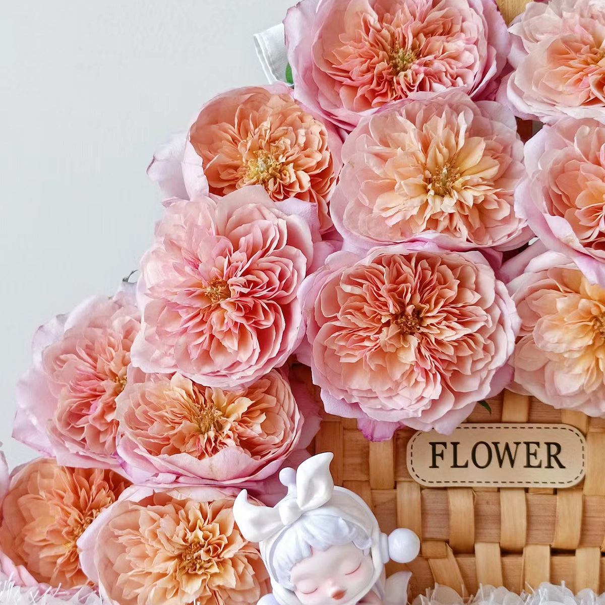 Japanese Florist Shrub Rose Inspired by Miyabi Brown