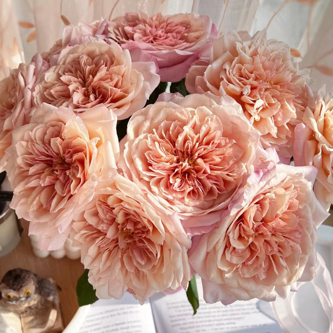 Japanese Florist Shrub Rose Inspired by Miyabi Brown