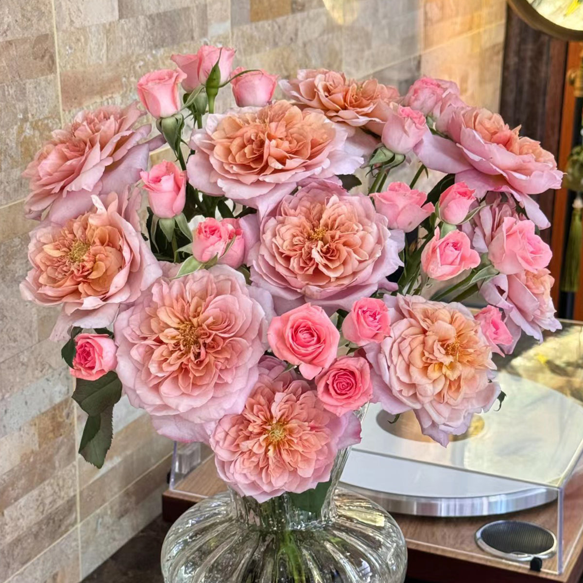 Japanese Florist Shrub Rose Inspired by Miyabi Brown