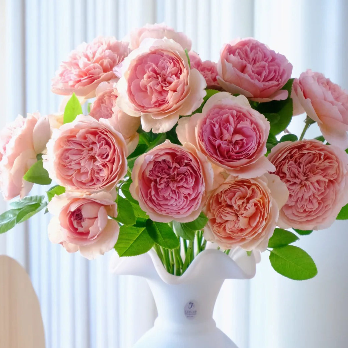 Moulin de la Galette Japanese Garden Shrub Rose