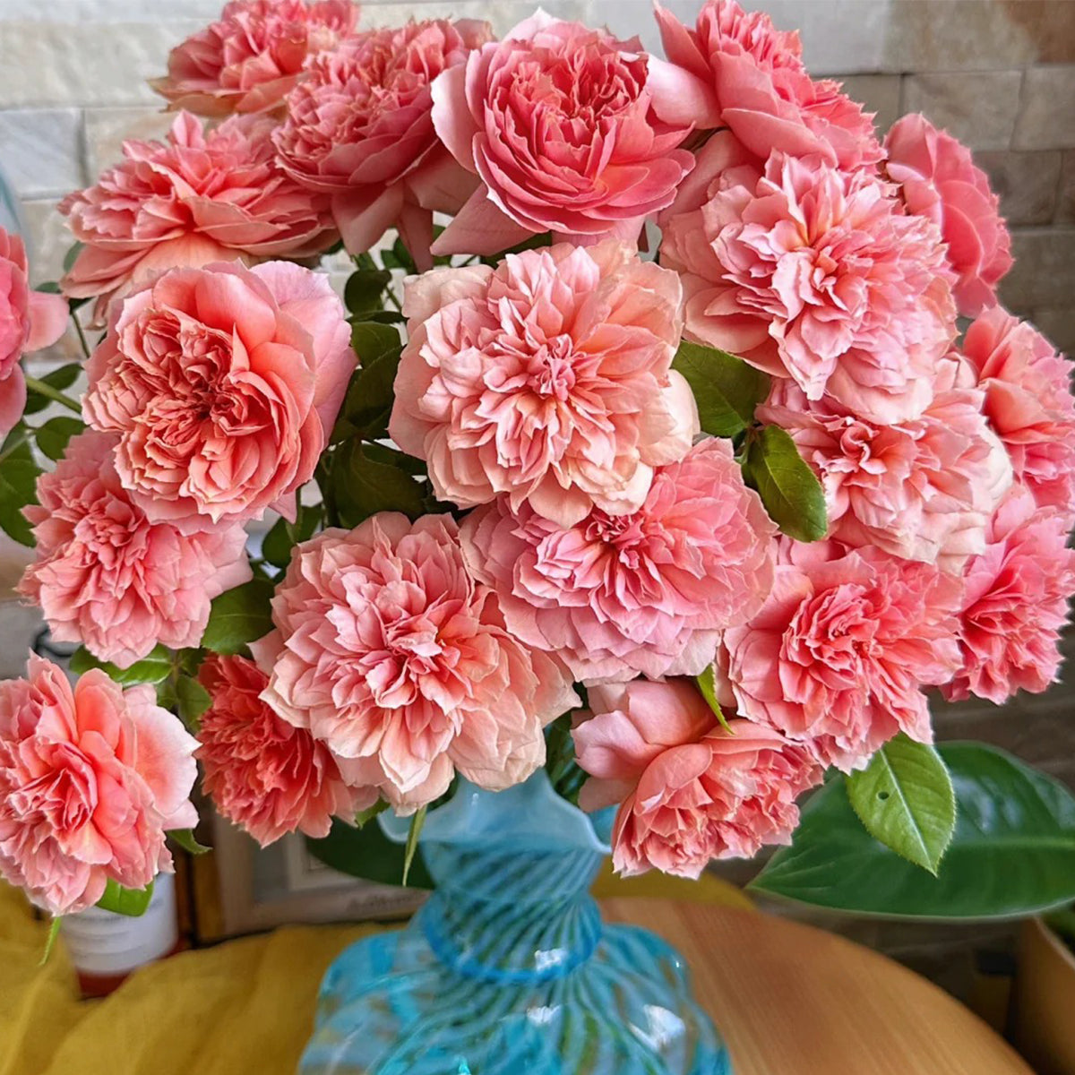 Moulin de la Galette Japanese Garden Shrub Rose