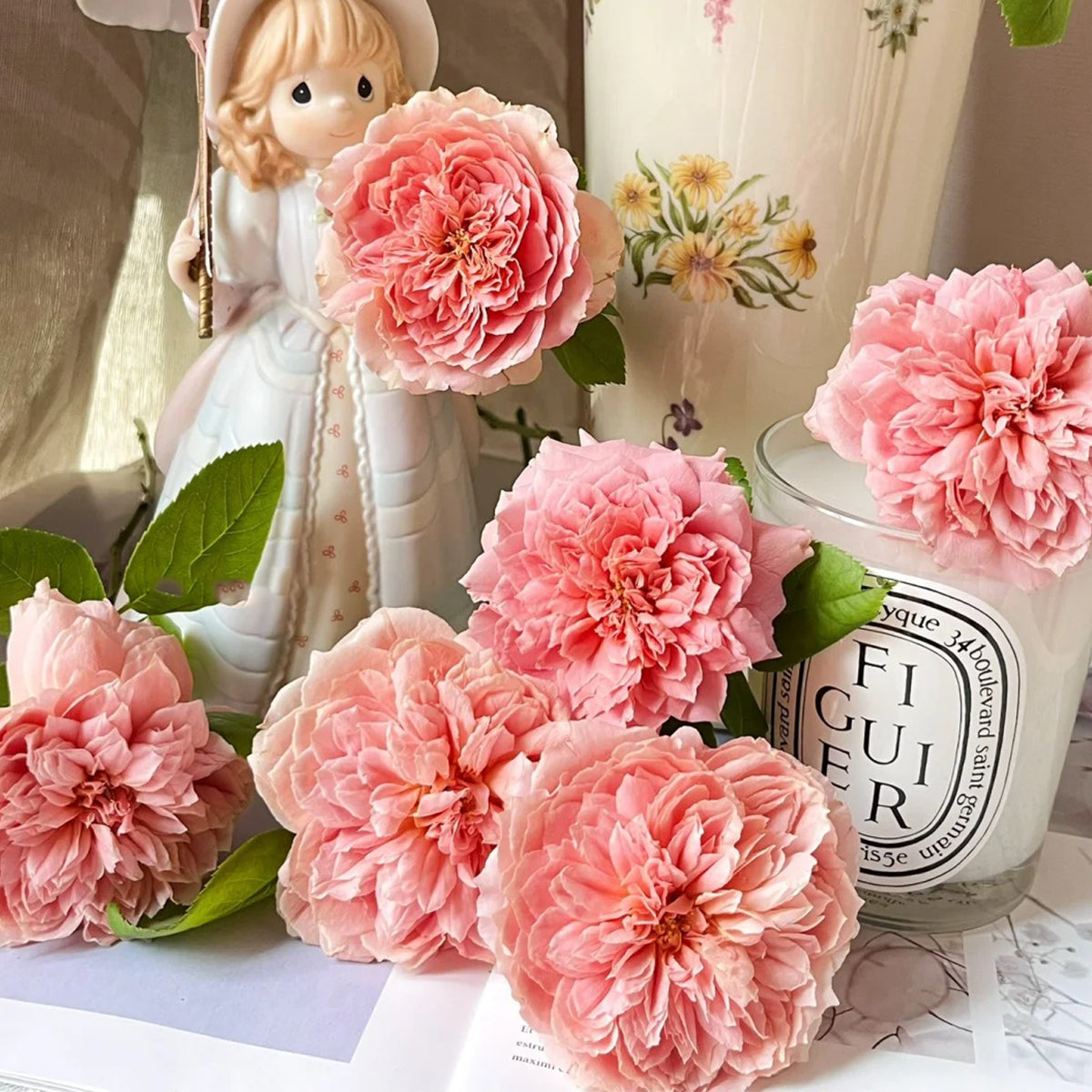 Moulin de la Galette Japanese Garden Shrub Rose