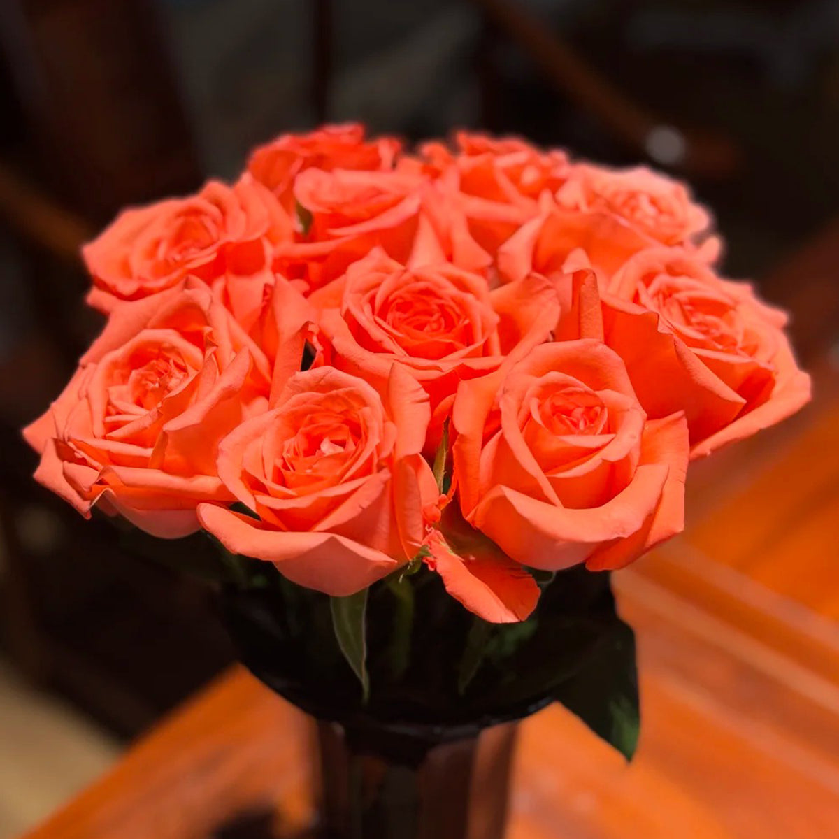 Movie Star German Florist Shrub Rose