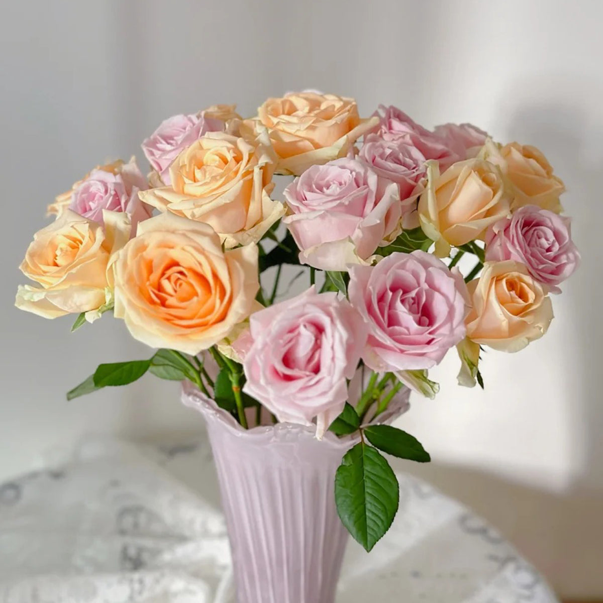 Mystery Box Shrub Rose