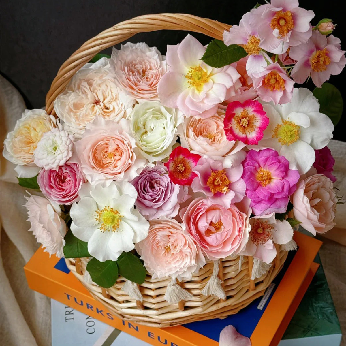 Mystery Box Shrub Rose