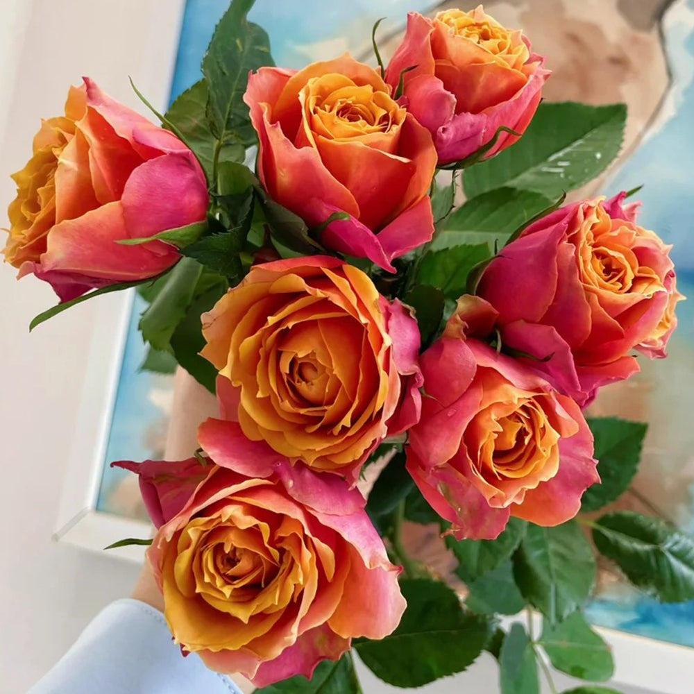 Denmark Florist Miniature Rose Inspired by Napoli Forever