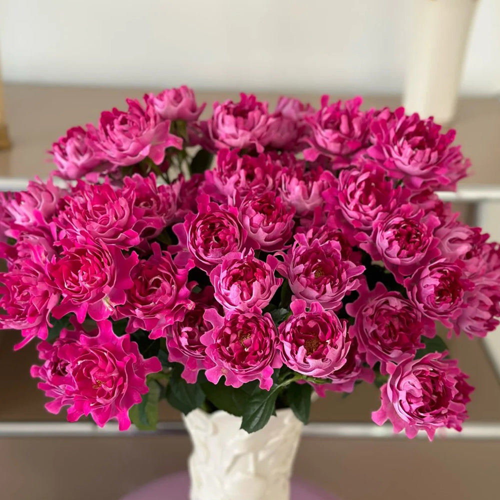 New Look Florist Shrub Rose