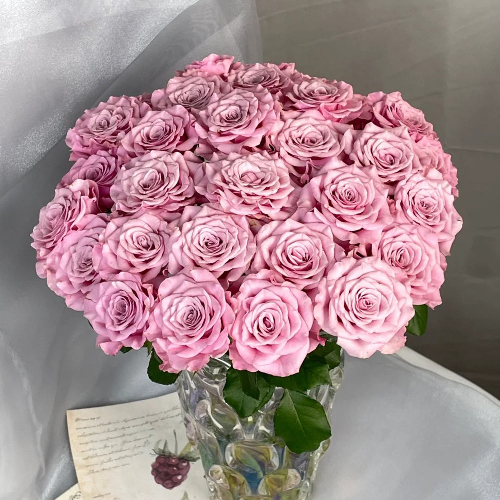 Dutch Florist Shrub Rose Inspired by Nolla