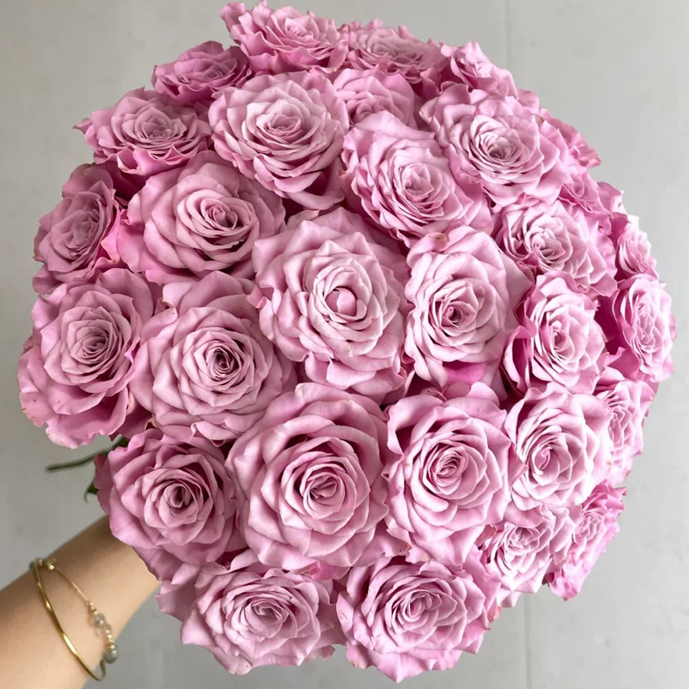 Netherlands Florist Shrub Rose Inspired by Nolla