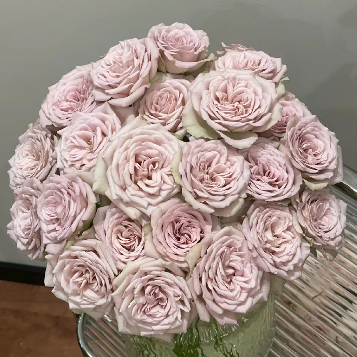 Notre Dame Dutch Florist Shrub Rose