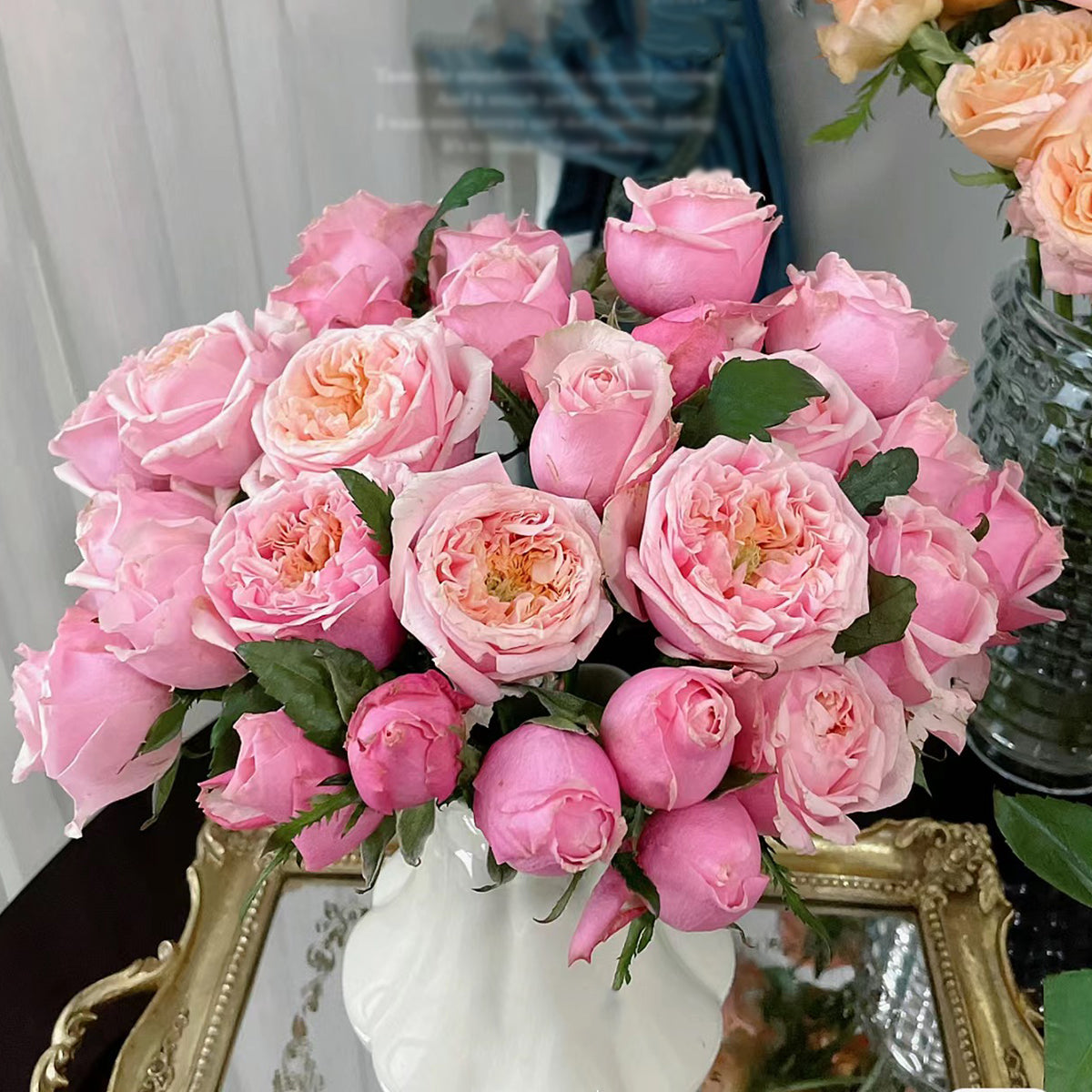 Dutch Florist Shrub Rose Inspired by Notting Hill