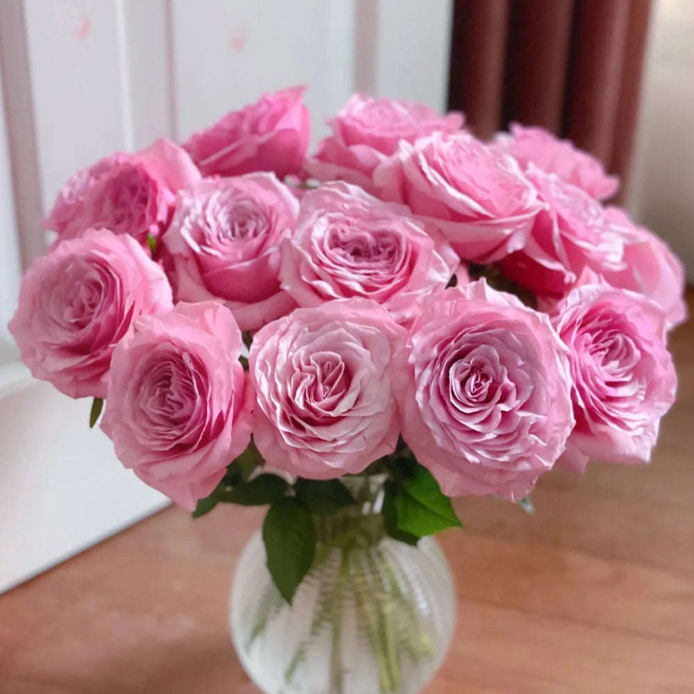 French Florist Shrub Rose Inspired by Ocean Breeze