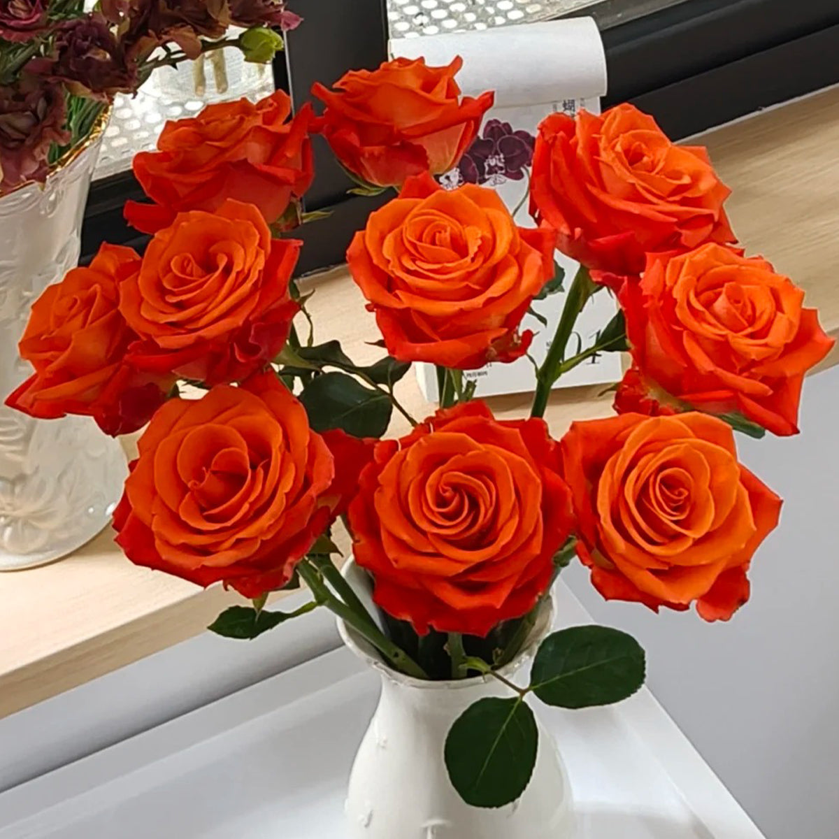 Orange Party French Florist Shrub Rose