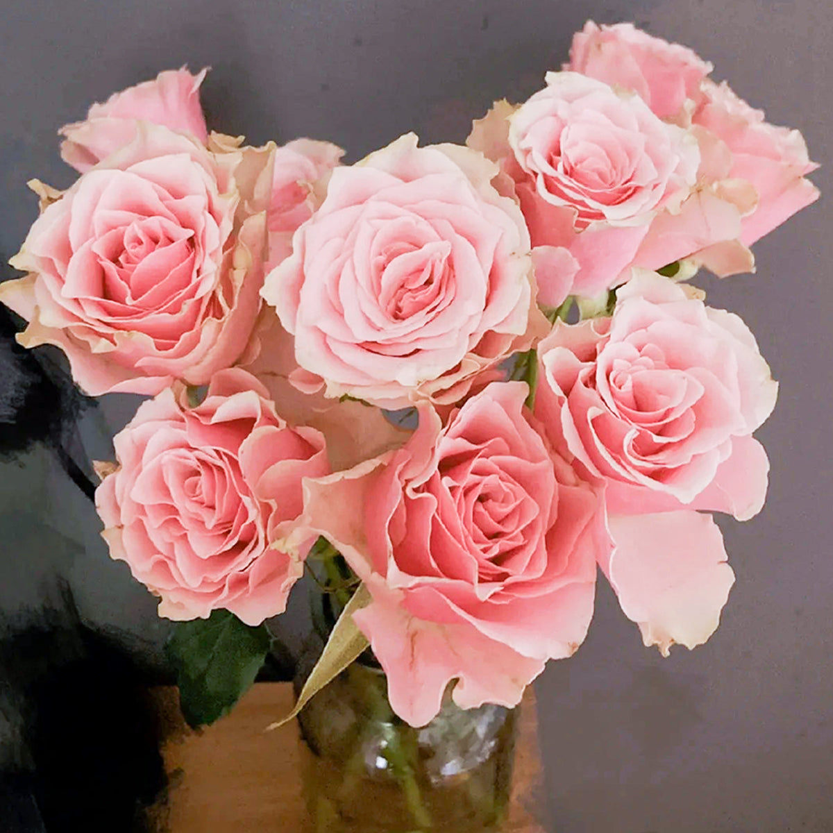 Peach Blossom Dutch Florist Shrub Rose
