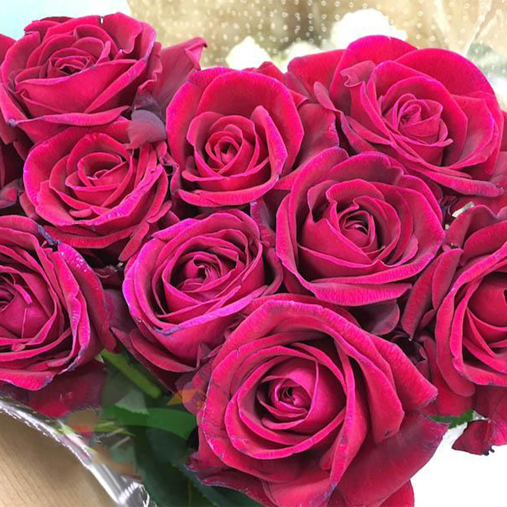 Phoenix Towa Japanese Florist Shrub Rose