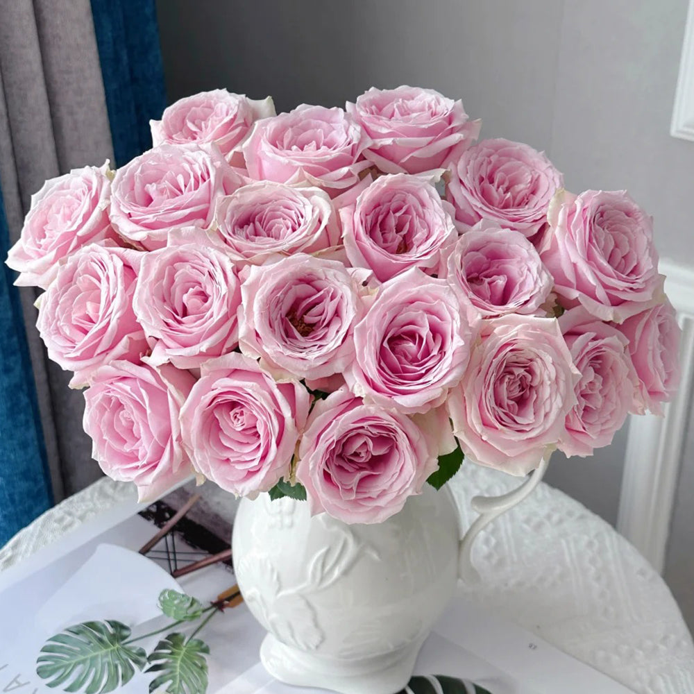 Pink Avalanche Dutch Florist Shrub Rose