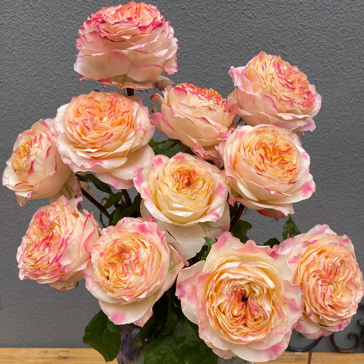 Poetica Dutch Florist Shrub Rose