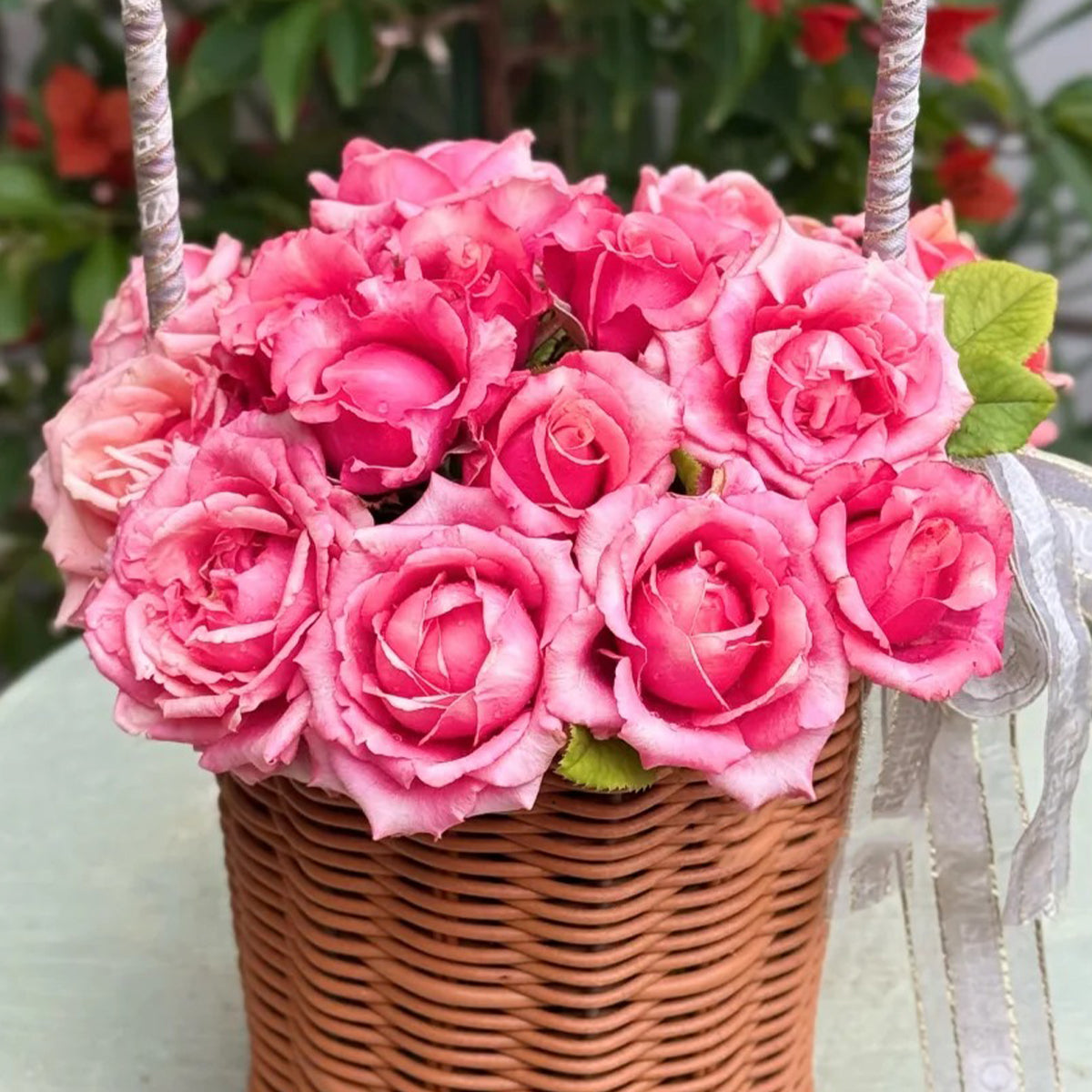 Pompidou Dutch Florist Shrub Rose