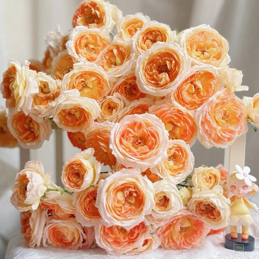 Princess Aiko Japanese Garden Shrub Rose