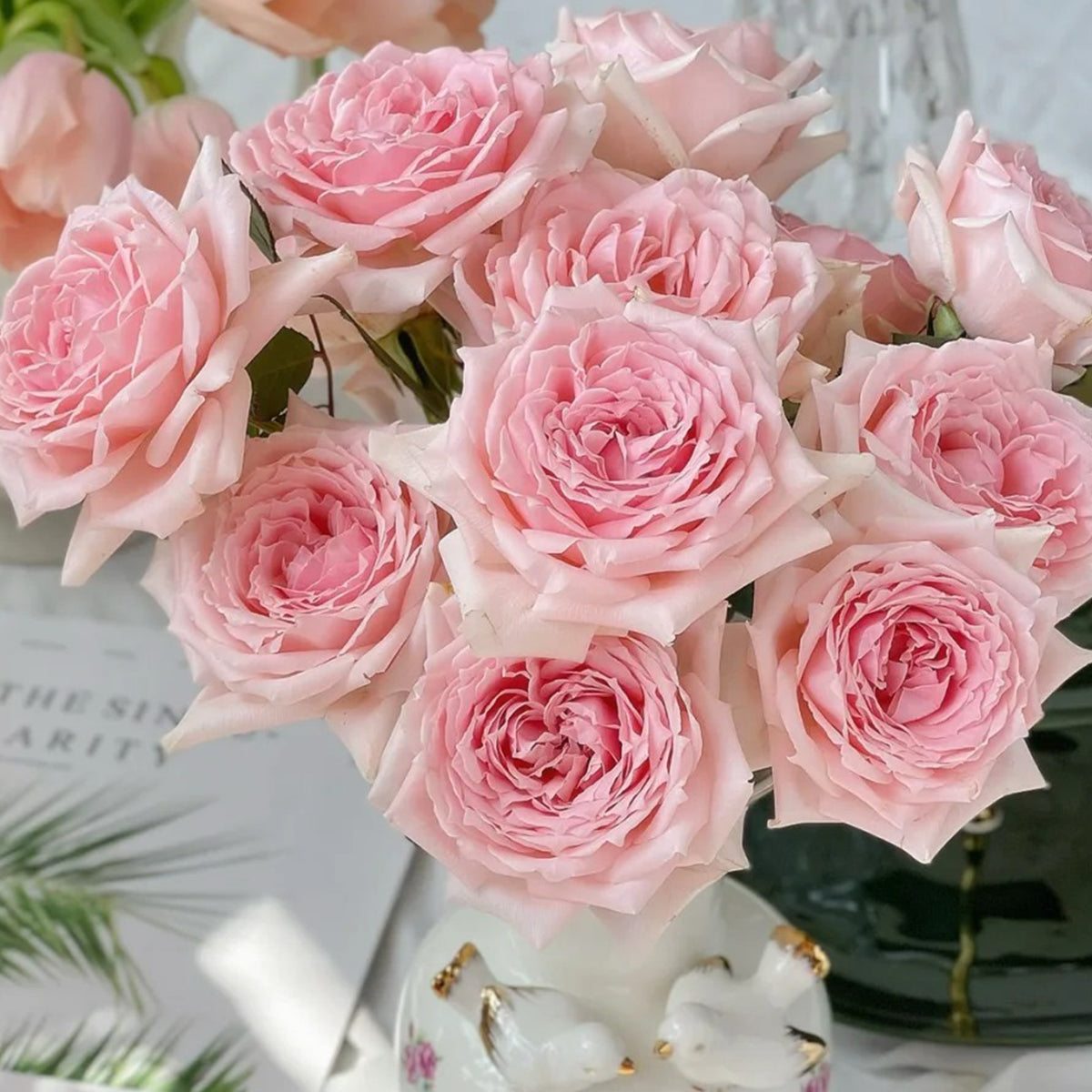 Japanese Florist Shrub Rose Inspired by Princess Hitomi