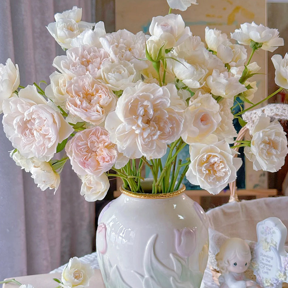 Queen of the Elves Japanese Florist Shrub Rose