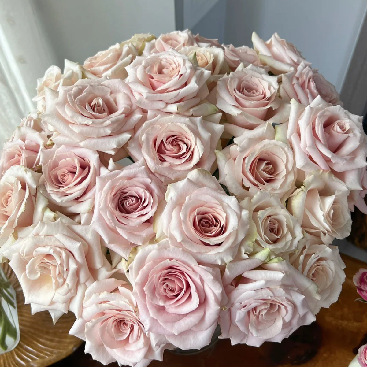 Dutch Florist Shrub Rose Inspired by Quicksand
